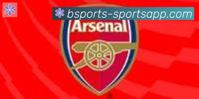 bsports体育合作伙伴