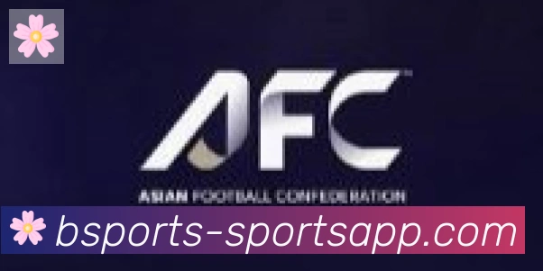 bsports体育合作伙伴